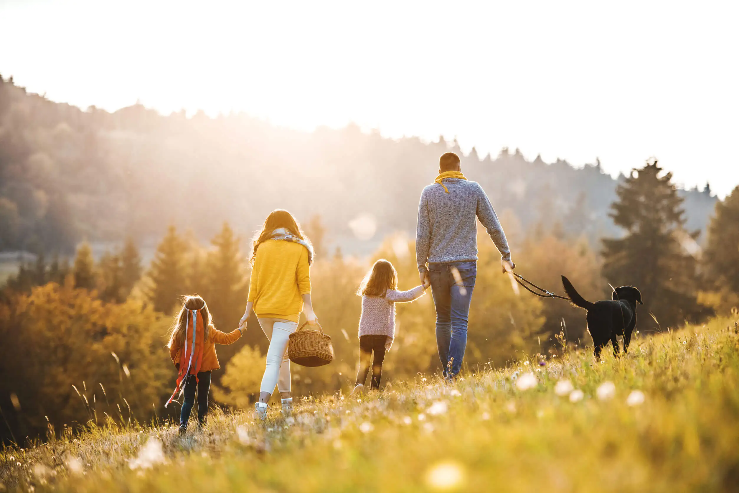 Correr o caminar son excelentes opciones para la salud.