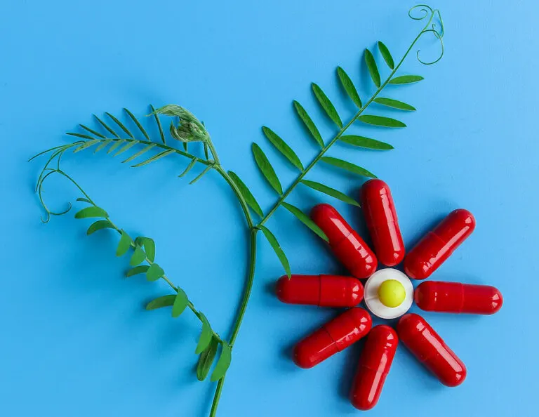 4 beneficios y usos de la berberina