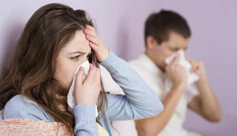 Remedios con ajo: curar la gripe