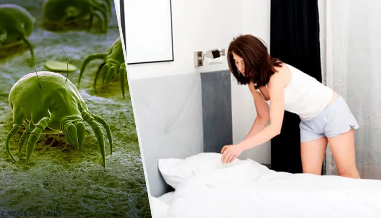 7 consejos para reducir los ácaros en casa