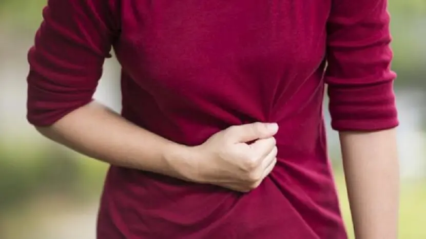 cuidar el hígado con infusión de boldo