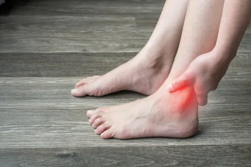 La anatomía del tacto es compleja