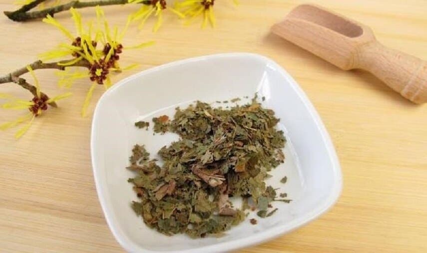 hamamelis cura rasguños en la piel