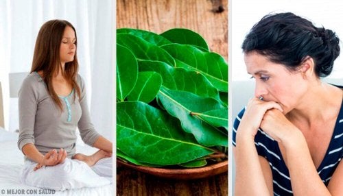 7 propiedades de las hojas de laurel que no conocías