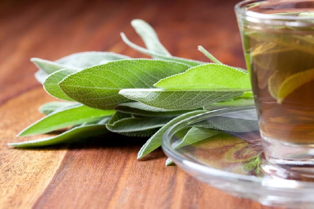 infusion salvia y acidez vaginal