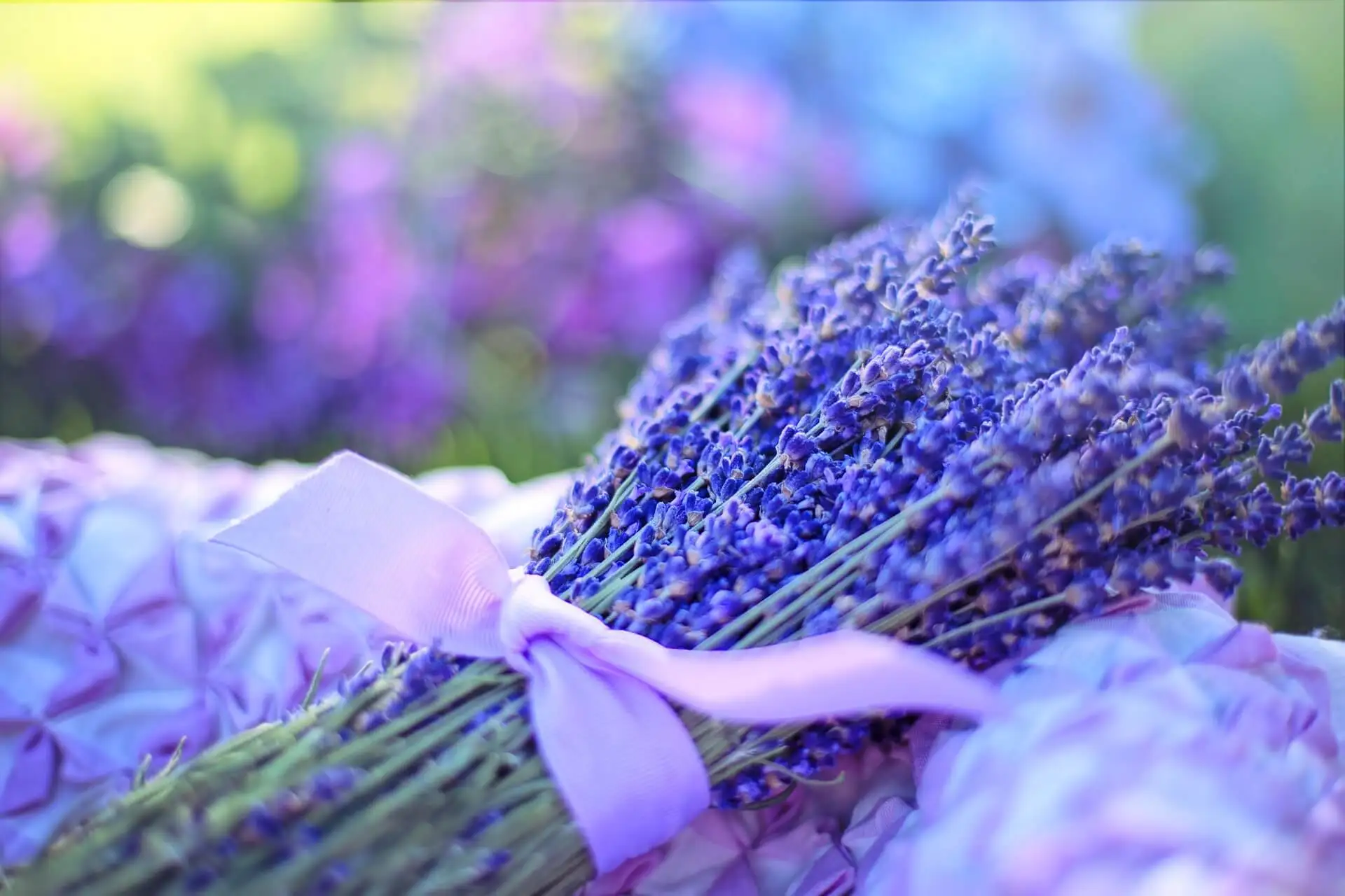 Körperpeelings mit Zucker - Lavendel