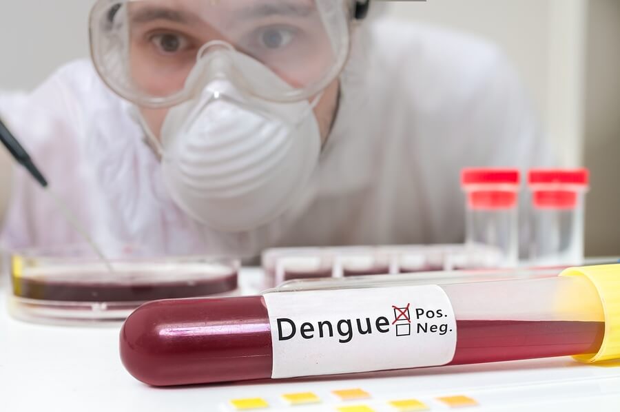 Datos relevantes sobre el dengue