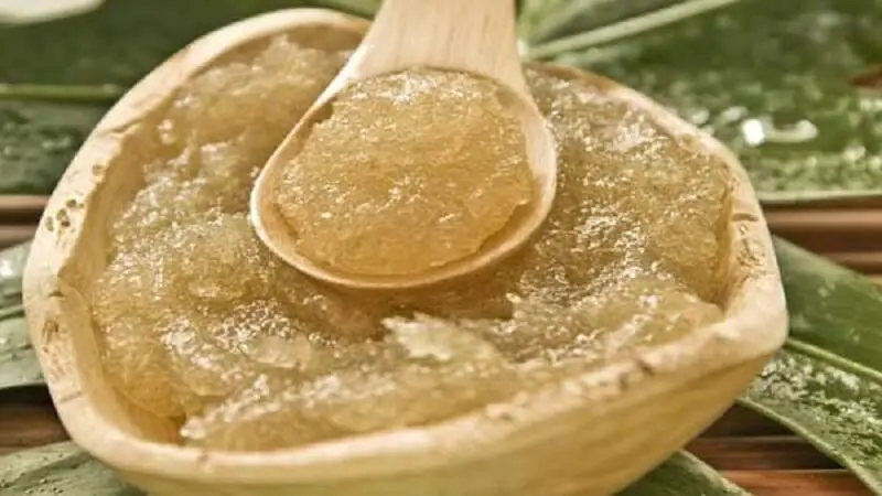oliva-y-azucar