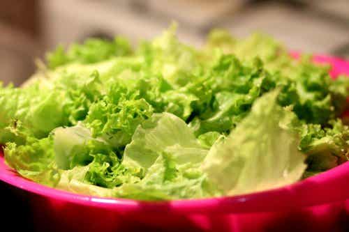 Los vegetales de tallo y hoja verde como la lechuga se admiten en la dieta lipofídica.