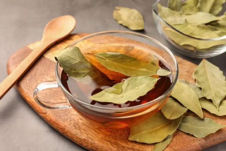 7 propiedades de las hojas de laurel que no conocías