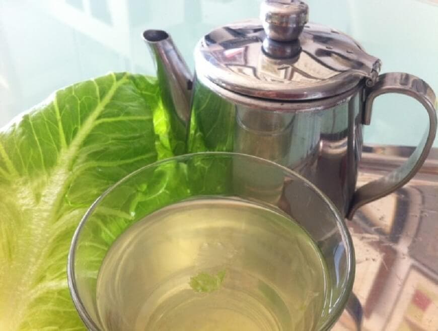Té de lechuga