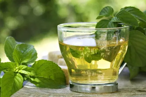 menta espasmos estomacales