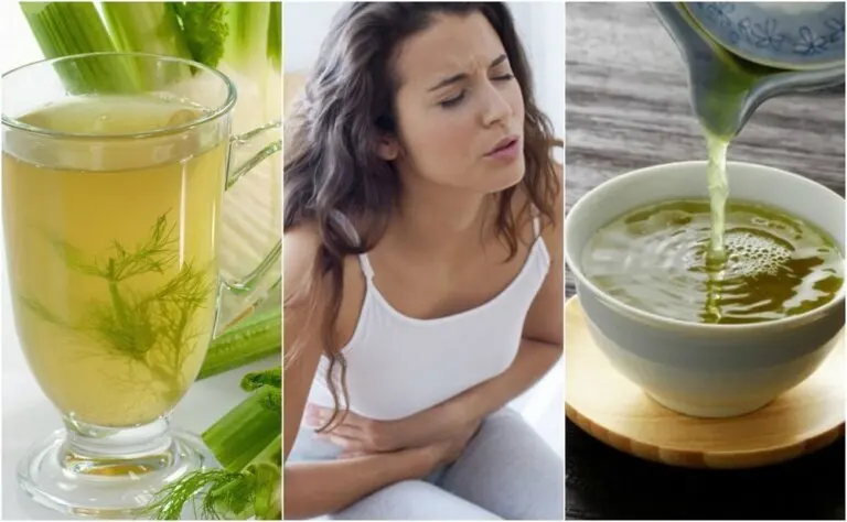 5 infusiones de plantas para combatir la indigestión
