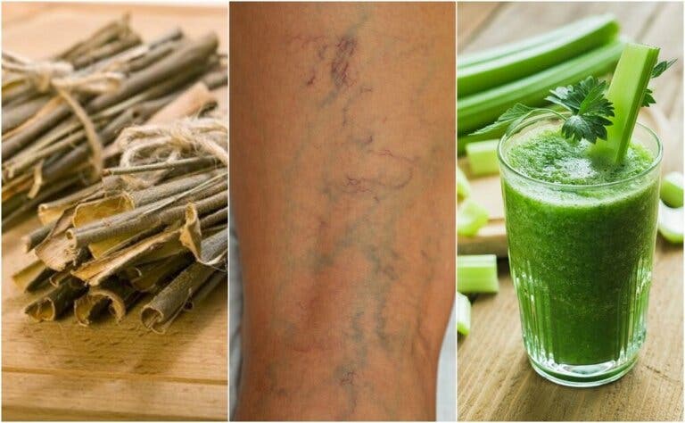 5 plantas que ayudan a combatir la mala circulación sanguínea