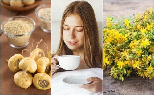 5 plantas medicinales que te ayudan a aumentar el deseo sexual