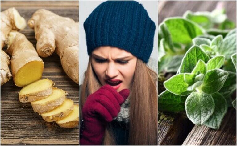 5 remedios con plantas que te ayudan a expulsar las flemas