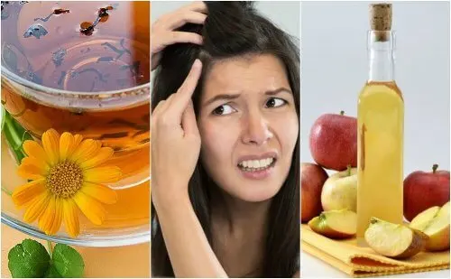 5 remedios naturales para el cuero cabelludo sensible