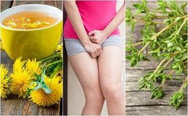 5 remedios herbales para calmar la cistitis