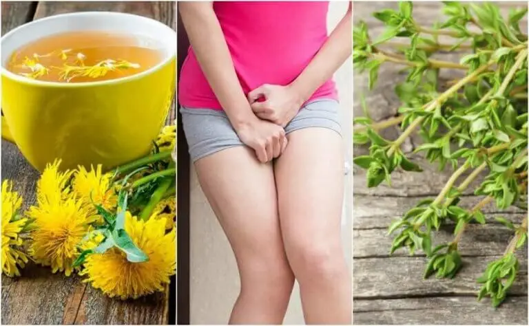 5 remedios herbales para calmar la cistitis