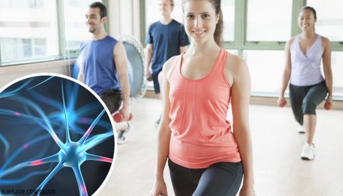 6 hábitos recomendados para regenerar las neuronas
