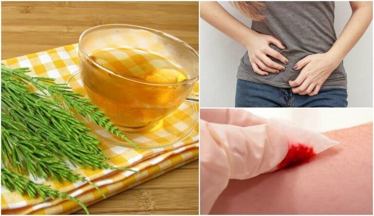 6 remedios con cola de caballo que te gustará conocer