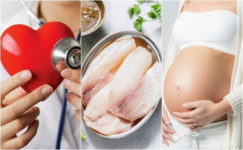 7 beneficios y propiedades de la tilapia que no conocías