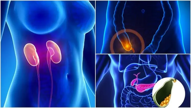 7 partes del cuerpo que no son estrictamente necesarias para vivir