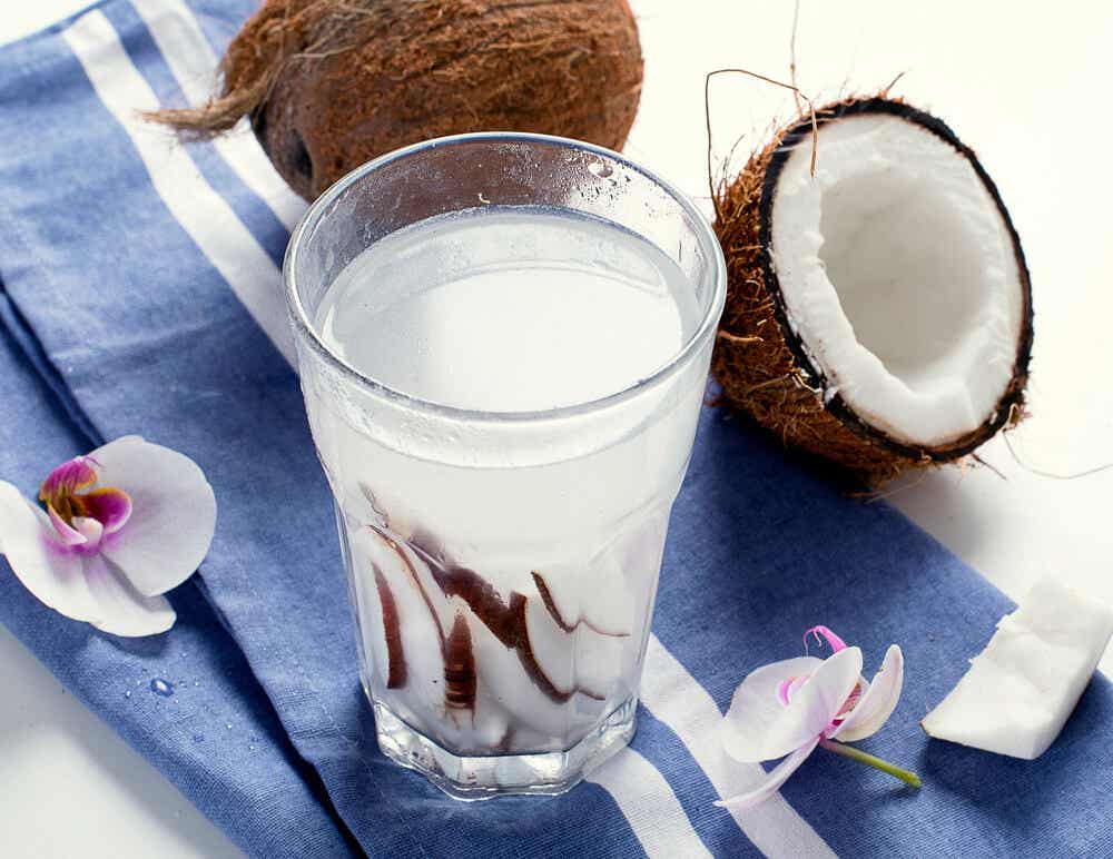 El coco es una de las mejores frutas tropicales