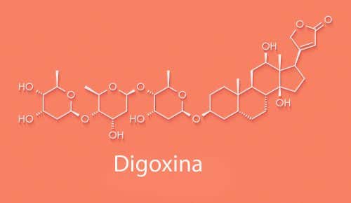 Acciones y efectos adversos de la digoxina