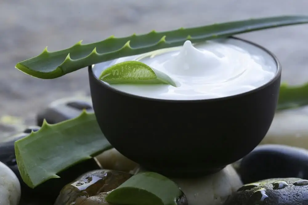 Aloe vera, leche de coco y limón