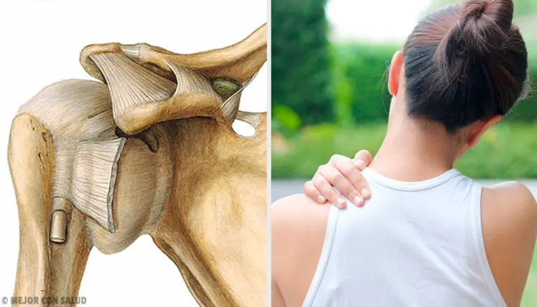 Articulación del hombro