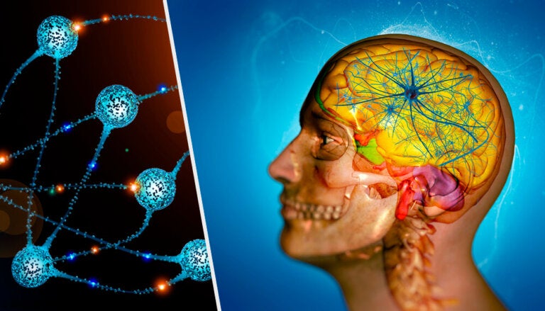 Barrera hematoencefálica