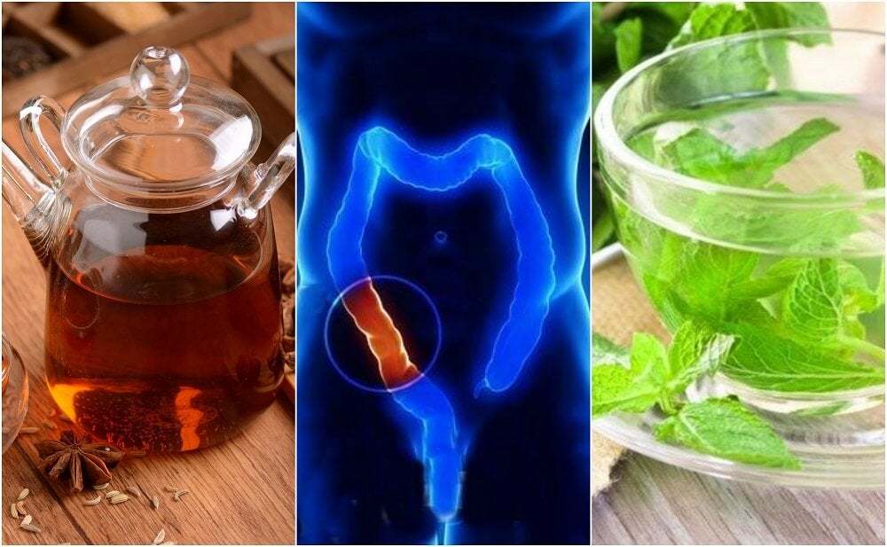 Cómo preparar 5 infusiones medicinales para limpiar el colon naturalmente -  Mejor con Salud