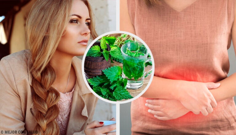 Cómo utilizar la ortiga y aprovechar al máximo sus propiedades