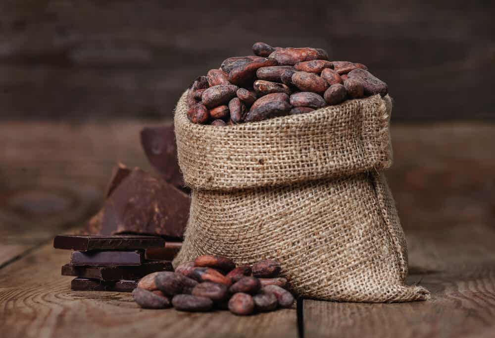 Granos de cacao.