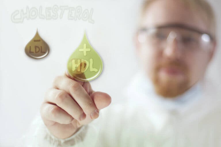 ¿Cómo aumentar el colesterol bueno?
