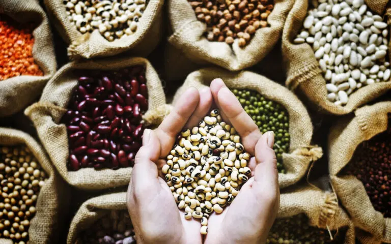 Cómo cocinar de manera saludable las legumbres