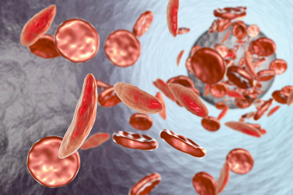 Recreación digital de torrente sanguíneo con glóbulos rojos.