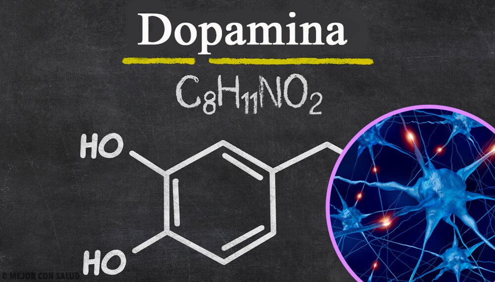 El mecanismo de acción de la quetiapina podría estar relacionado con la capacidad que tiene de reducir la neurotransmisión dopaminérgica en la vía mesolímbica