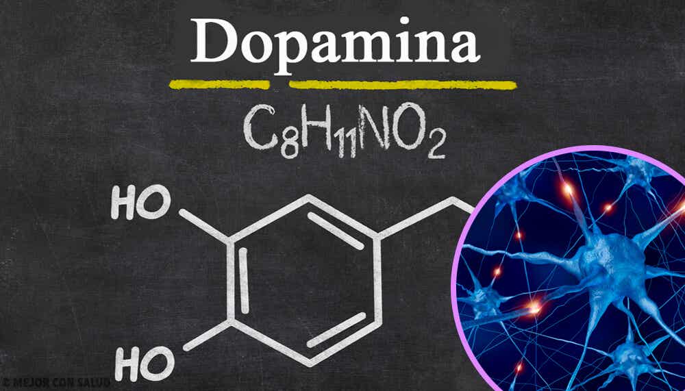 El mecanismo de acción de la quetiapina podría estar relacionado con la capacidad que tiene de reducir la neurotransmisión dopaminérgica en la vía mesolímbica