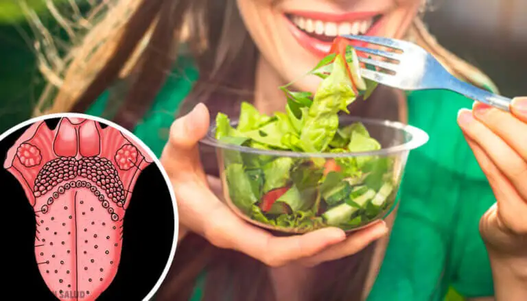 El sentido del gusto: la lengua y sus funciones