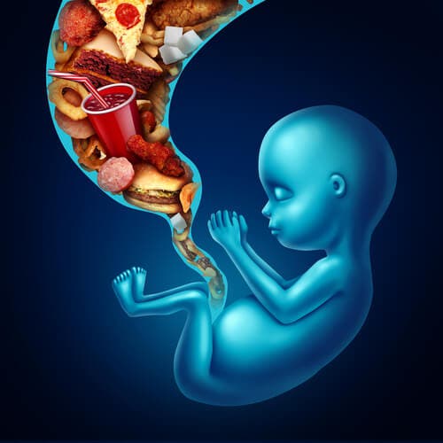 Factores relacionados con la agenesia renal