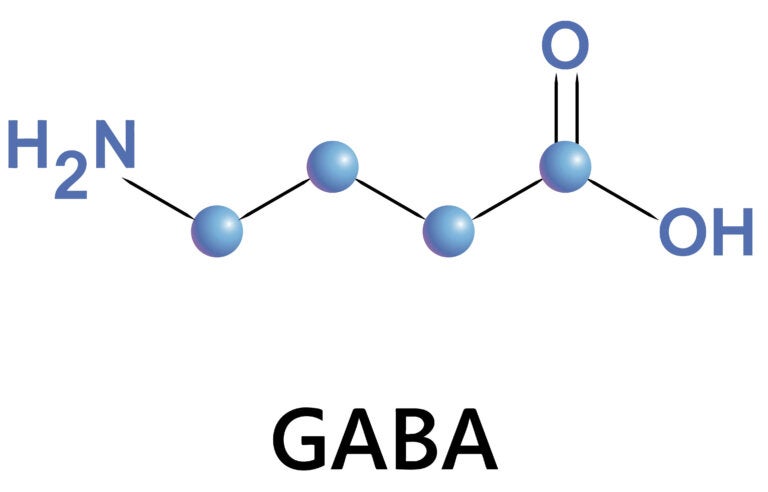 Ácido Gamma Aminobutírico Gaba Mejor Con Salud 6509