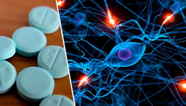 Ácido gamma-aminobutírico (GABA)