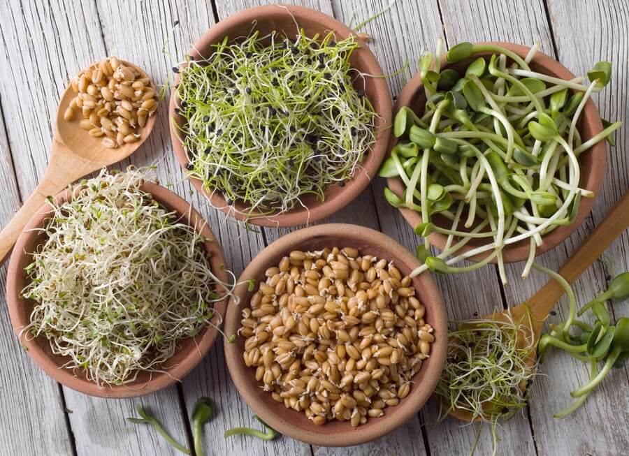 Los germinados son una opción muy nutritiva de comer legumbres.