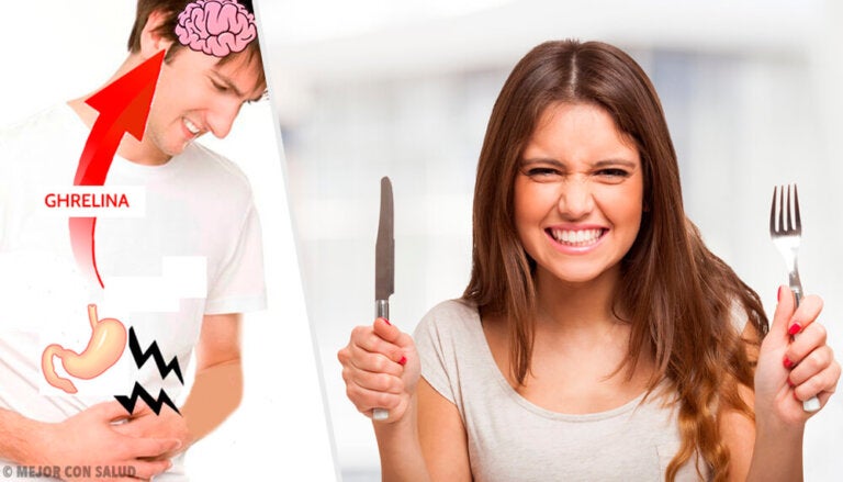 Ghrelina: funciones y mecanismo de acción