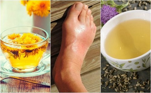 Las 5 mejores infusiones para bajar el ácido úrico