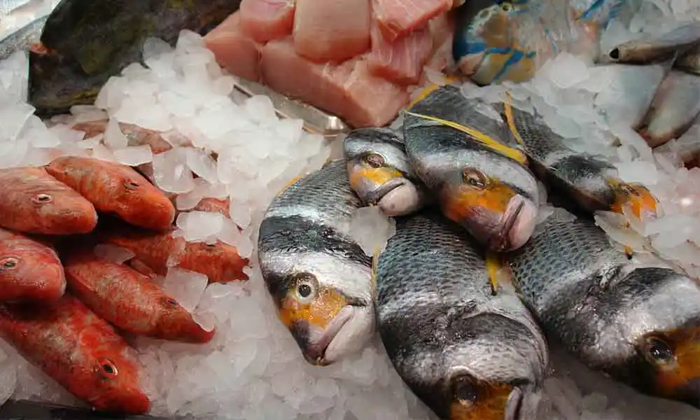 Pescado en mal estado