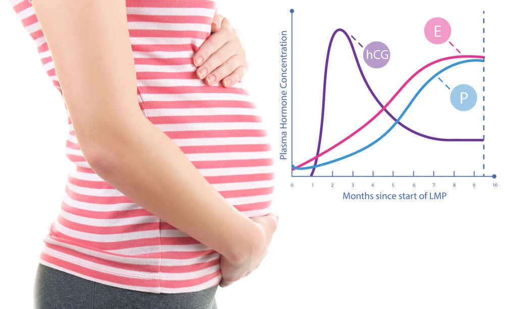 Gráfico con alguna de las hormonas que intervienen en el ciclo de ovulación.