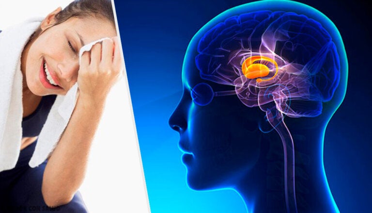 ¿Qué es el feedback negativo?